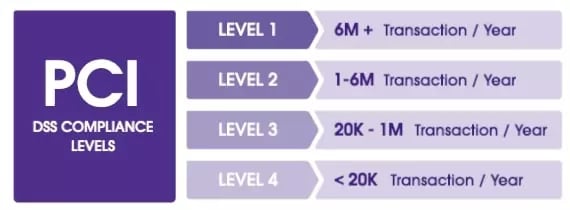 PCI DSS Levels