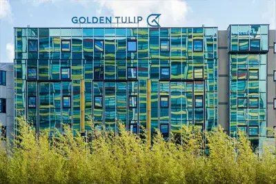 Golden Tulip